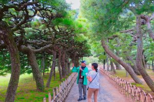 Volunteer Guide explaining the unique pine trees