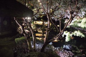 Cuộc sống về đêm ở Tokyo: Một buổi tối dành cho hai người