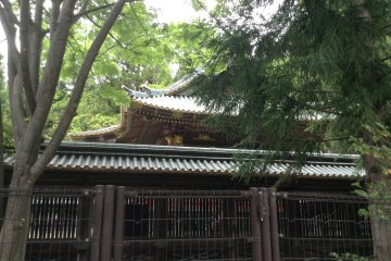 The main shrine surrounded by majestic trees.