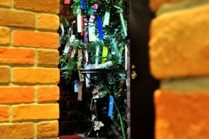 At the bottom of the steps, the tree is decorated with wishes for the approaching Tanabata Festival