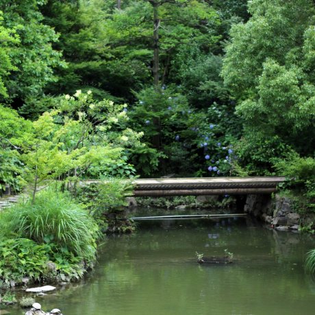 สวนสวยแห่งปราสาทโคคุระ