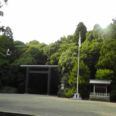 The Miyazaki Shrine Forest - Part 1