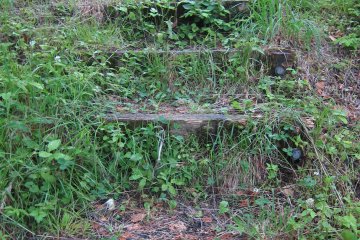 공원 탐방을 이끌어줄 잔디로 덮인 계단