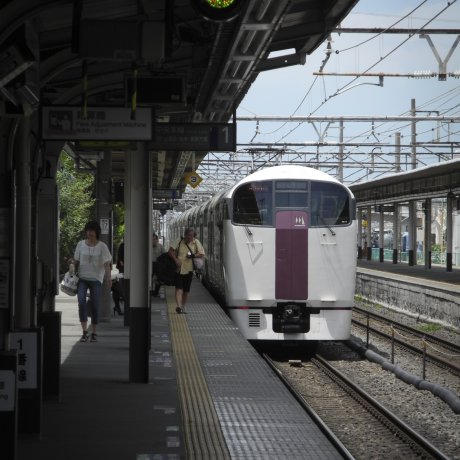 รถไฟ Holiday Rapid View Yamanashi 