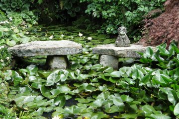 A statue sits amongst the lotuses