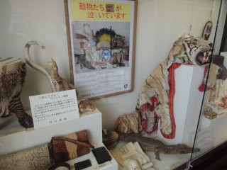 Illegal animal items are also displayed