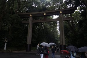 Meski basah-basahan, hujan adalah salah satu waktu yang tepat untuk menelusuri Taman Yoyogi