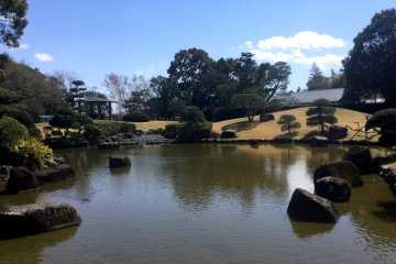 The pond stocked with koi at Nihon Teien