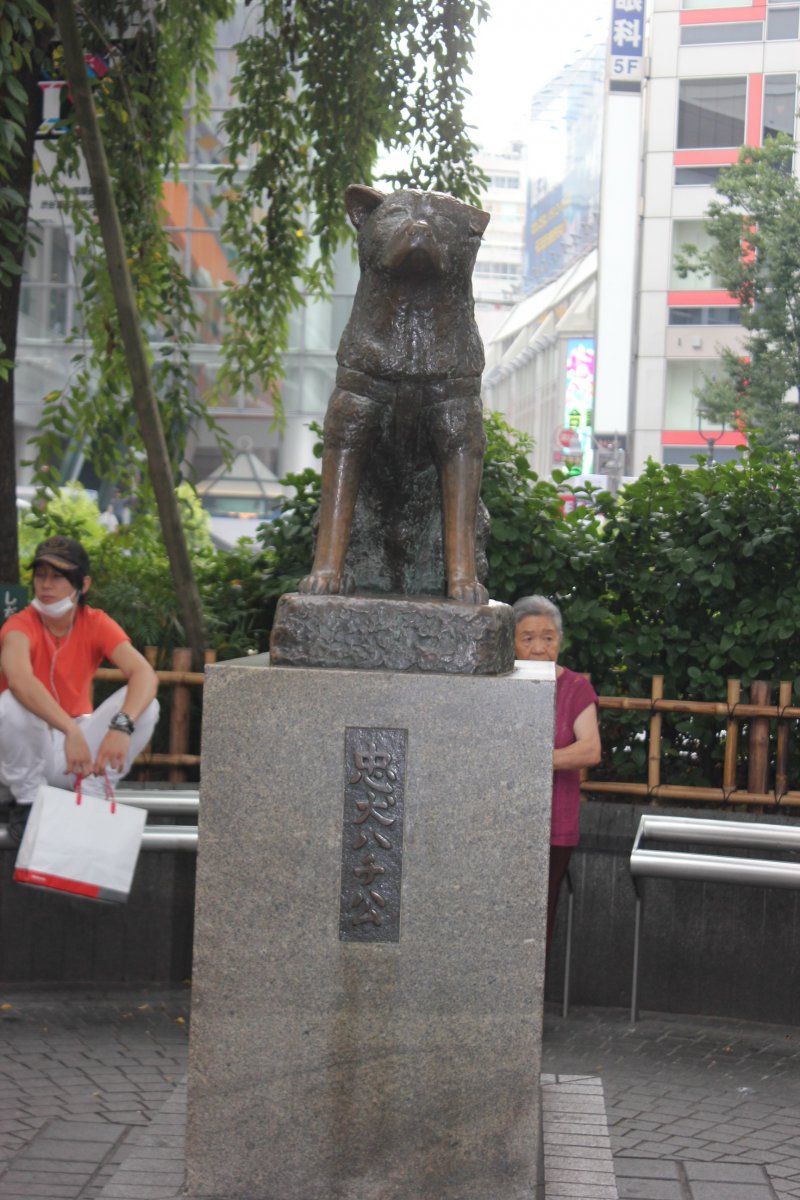จัตุรัสฮาชิโกะ จุดนัดพบยอดนิยมที่สุดของชิบูย่า