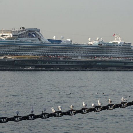 Yokohama Osanbashi Port Guide 
