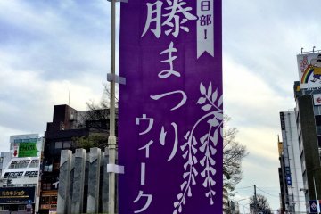 Kasukabe City celebrates its wisteria with banners
