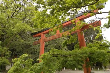 Entrance to Yoshida Shrine