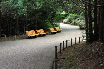Wide paths and plenty of seats along the way