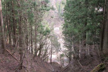 Woods of Nagano