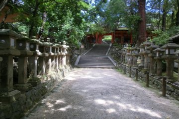 Kasuga Taisha steps