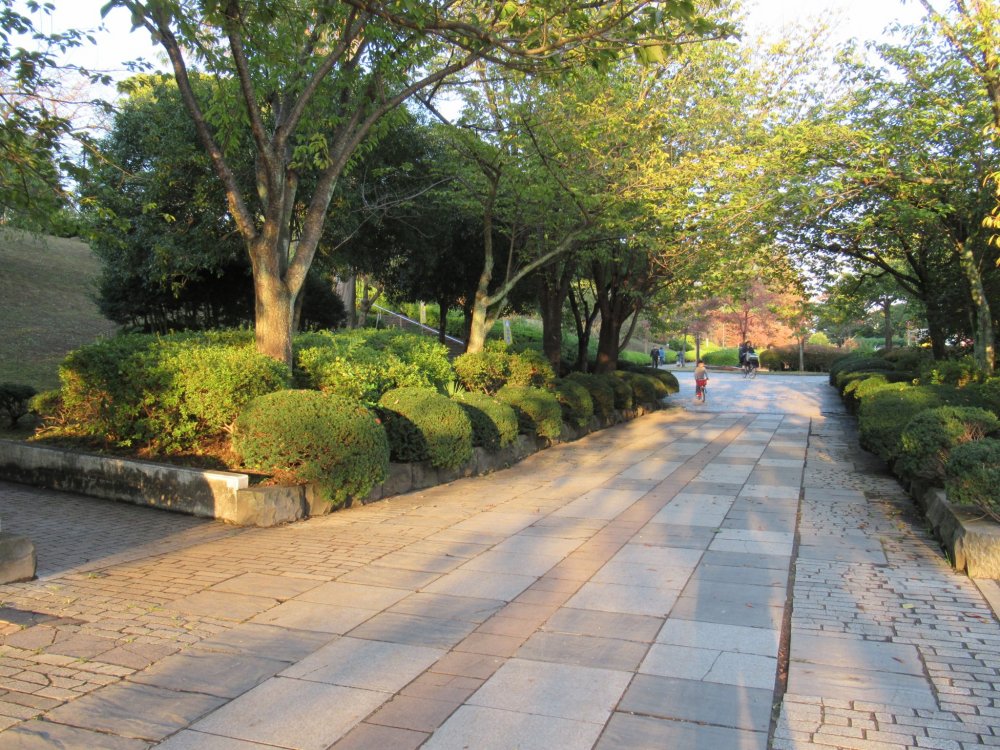 Wide paths of Tsutsujigaoka Park