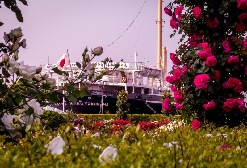 This famous ship called the ‘Hikawa Maru’, looks especially colorful on this occasion