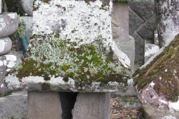 A moss covered old grave