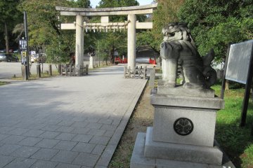 The path to Toshogu shrine