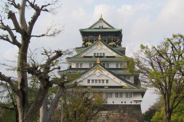Osaka Castle has wide grounds