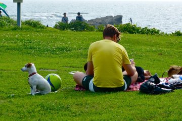 People and dogs scatter to their own favorite spots