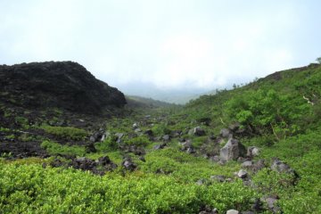 The view along the Fujinomiya trail