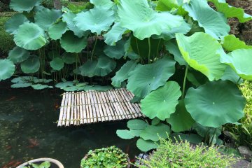A pond, no matter how small it is, imbues the garden with an atmosphere of calm and serenity