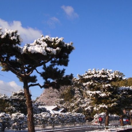 【京。遊】雪粧金閣寺。