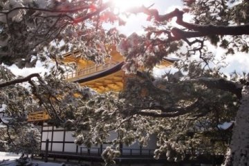 雪粧金閣寺