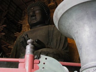 Бабочка в храме Тодай-дзи