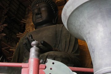 Бабочка в храме Тодай-дзи