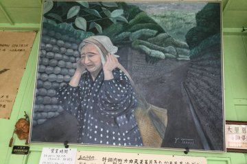 A local woman with the heritage stone wall in the background