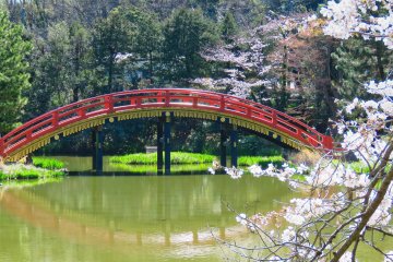  Arch Bridge during cherry blossom season