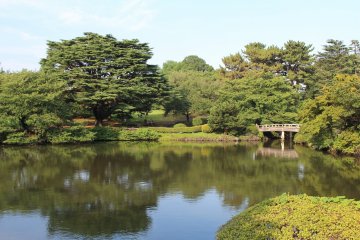 Один из спокойных видов парка Синдзюку Гёэн