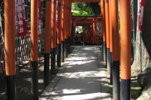 The torii of Inari shrine - the deity of rice and prosperity