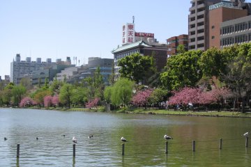 A lake in Ueno Park
