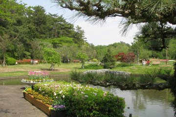 There are many wonderful views in Hamamatsu Flower Park
