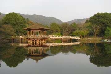 A quiet evening in the Nara Park
