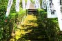 The Beautiful Moss Stairs of Sugimoto Temple