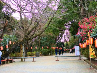 Shrine grounds during the New Year season