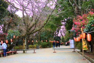 Shrine grounds during the New Year season