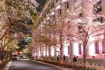 Sakura Fes Nihonbashi [Closed]