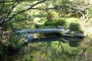 Ikedayama Park pond and bridge
