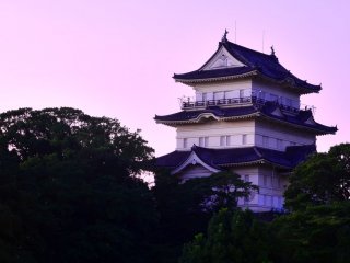 A picture Odawara castle taken from a nearby hill. The enclosure of Odawara castle has a perimeter of 15km.