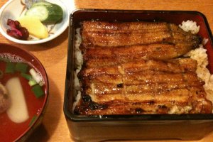 Unagi-don, eel on a bed of rice.