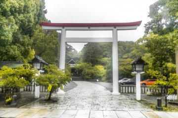 Rainy Days at Kamakuragu Shrine