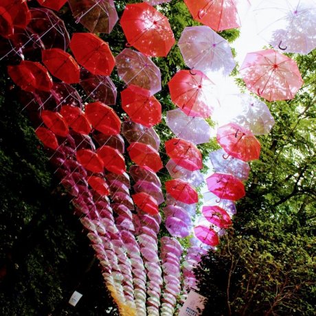 멧사 마을의 우산 스카이 디자인 프로젝트