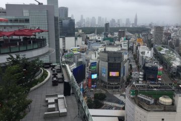 The bustling center of Shibuya