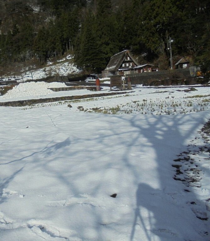 Padang salju di Desa Ainokura