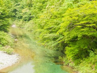 Sungai Niyodo yang mengalir dari Gunung Ishizuchi menduduki peringkat pertama dalam hal kualitas air di tingkat domestik